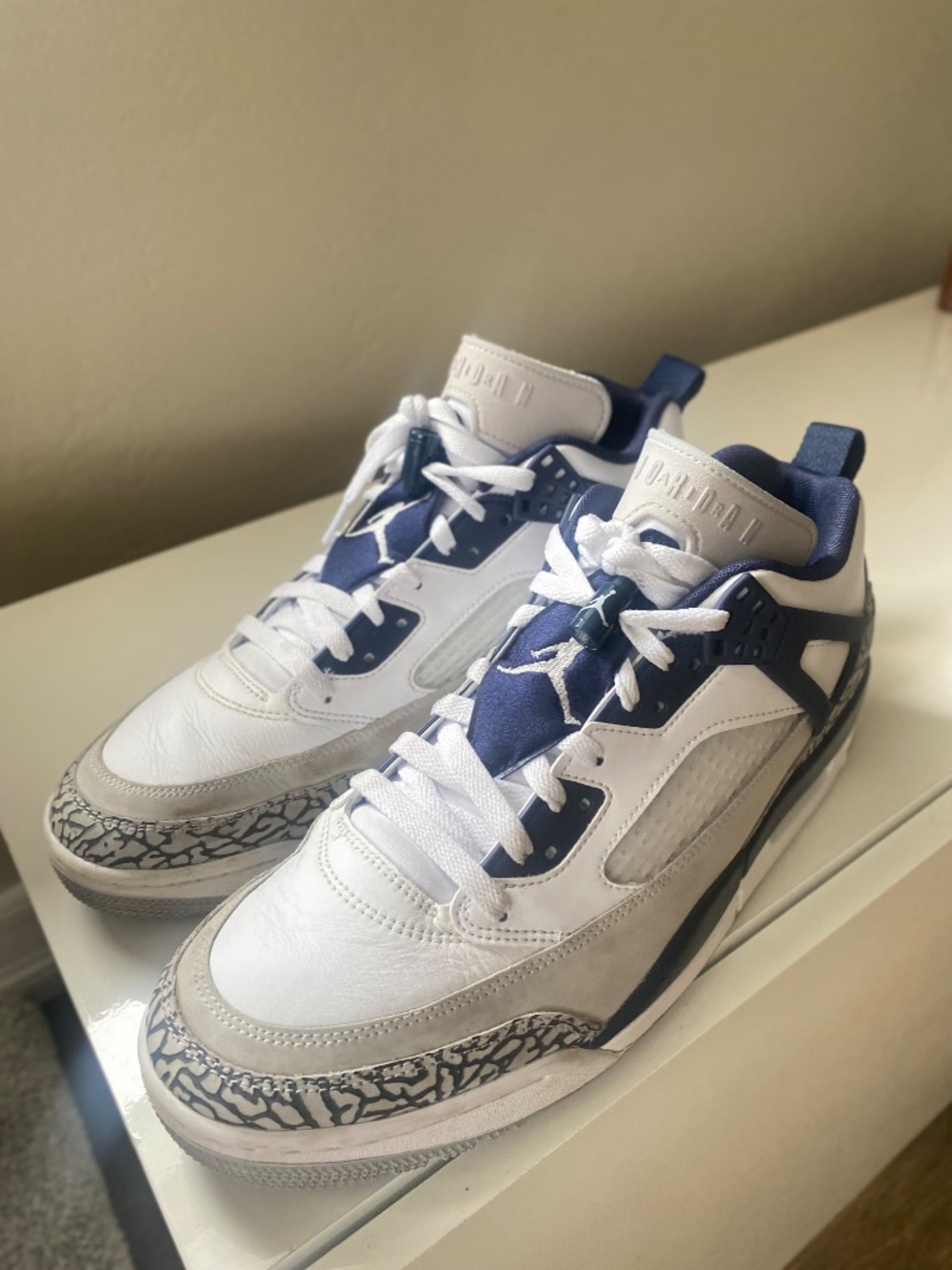 Jordan SPIZIKE LOW - Picture 3 of 7